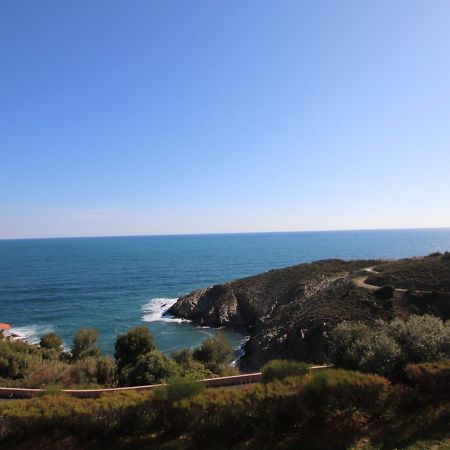 Banyuls-Sur-Mer, T2 Avec Wifi, Terrasse Et Parking - Fr-1-309-259 Buitenkant foto