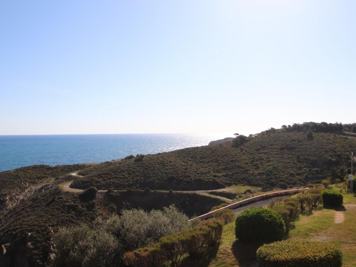 Banyuls-Sur-Mer, T2 Avec Wifi, Terrasse Et Parking - Fr-1-309-259 Buitenkant foto